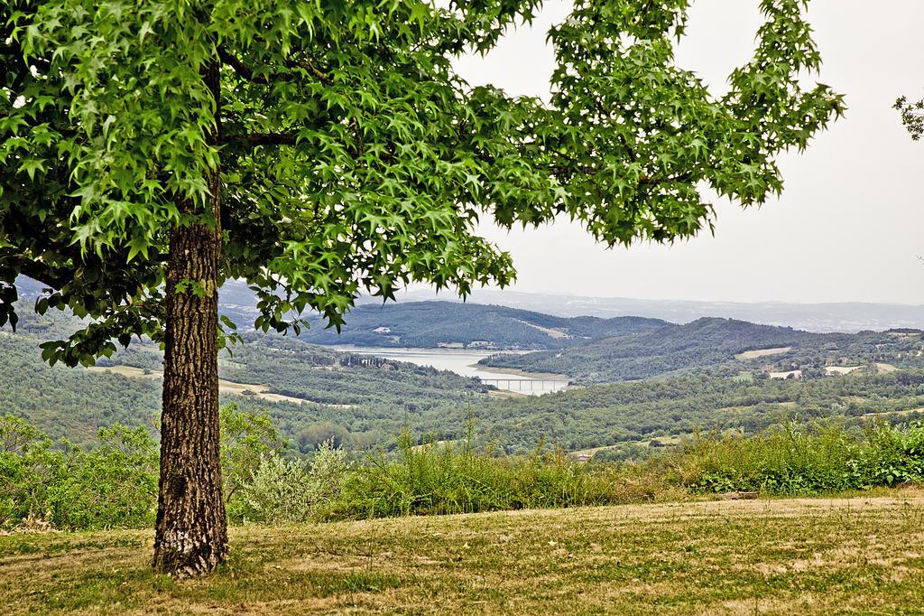 Agriturismo Terra Di Michelangelo Caprese Michelangelo Exterior foto