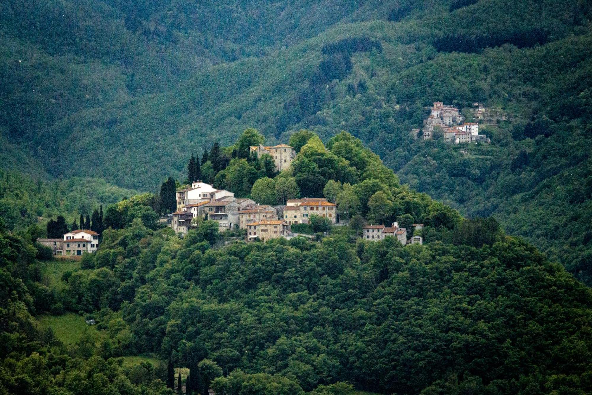 Agriturismo Terra Di Michelangelo Caprese Michelangelo Exterior foto
